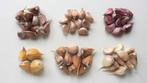 Knoflook pootgoed | Ecologisch, Tuin en Terras, Verzenden, Gehele jaar, Volle zon, Knol