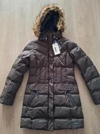 Nieuwe Gaastra Ellington jas - bruin maat M, Kleding | Dames, Jassen | Zomer, Maat 38/40 (M), Gaastra, Bruin, Nieuw