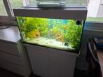 Juwel Rio 125 led aquarium, Ophalen, Zo goed als nieuw, Gevuld zoetwateraquarium