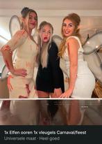 Carnaval/feest Elfen oortjes + vleugels, Ophalen of Verzenden, Zo goed als nieuw, Jongen of Meisje