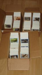 BLIJDORP PLAATJES / STICKERS ( NIEUW ) JUMBO, ZIE TEKST, Verzamelen, Supermarktacties, Jumbo, Ophalen of Verzenden