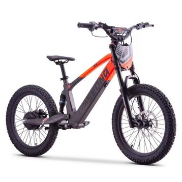 Sedna SX20 Elektrische Loopfiets 750W - Nieuw 2025! beschikbaar voor biedingen