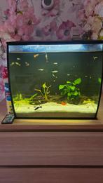 Mooi fluval aquarium te koop, Ophalen, Zo goed als nieuw, Leeg aquarium