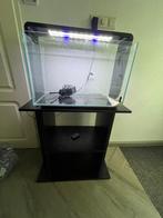 Aquarium superfish home 65, Dieren en Toebehoren, Vissen | Aquaria en Toebehoren, Ophalen, Zo goed als nieuw, Leeg aquarium