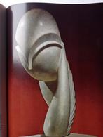 De wereld van Marcel Duchamp - Fotografie Boek, Verzenden, Gelezen