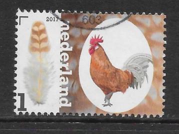 2017, Kippenrassen, Fries Hoen [3495] (K0824) beschikbaar voor biedingen