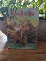 Boudewijn de Bever - Catherine Salembier, Ophalen of Verzenden, Zo goed als nieuw, Catherine Salembier, Sprookjes