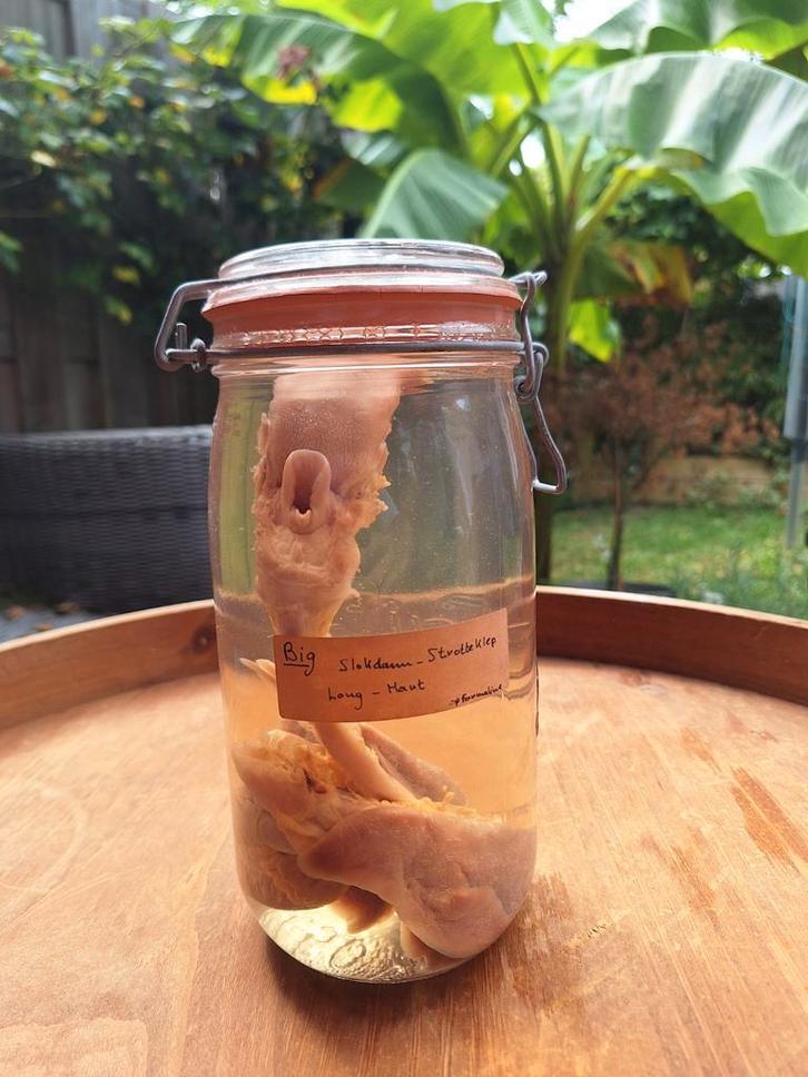 Varkens Slokdarm & Strottenklep op Sterkwater, Antiek en Kunst, Curiosa en Brocante, Ophalen