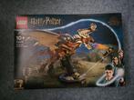 Lego 76406 Harry Potter Hungarian Horntail Dragon NIEUW, Verzenden, Nieuw, Complete set, Lego