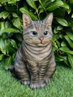 Kattenoppas voor jouw kat, Overige vormen