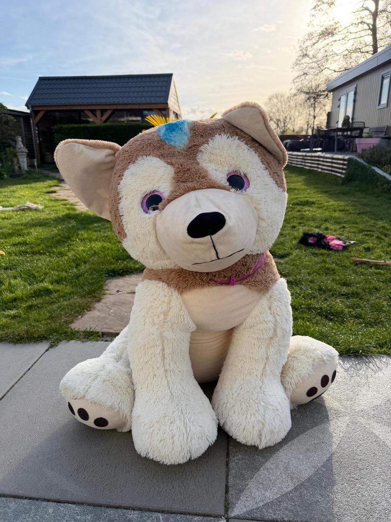 Supergrote pluchen hond  (70 cm), Kinderen en Baby's, Speelgoed | Knuffels en Pluche, Zo goed als nieuw, Hond, Ophalen of Verzenden