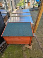 Schitterende konijnenren met nachthok, Ophalen of Verzenden, Overige typen