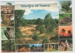 Emmen 12 luik Natuur Ongelopen, Verzenden, 1980 tot heden, Ongelopen, Drenthe
