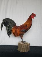 Een prachtige opgezette haan!, Ophalen of Verzenden, Nieuw, Boerderijdier, Opgezet dier