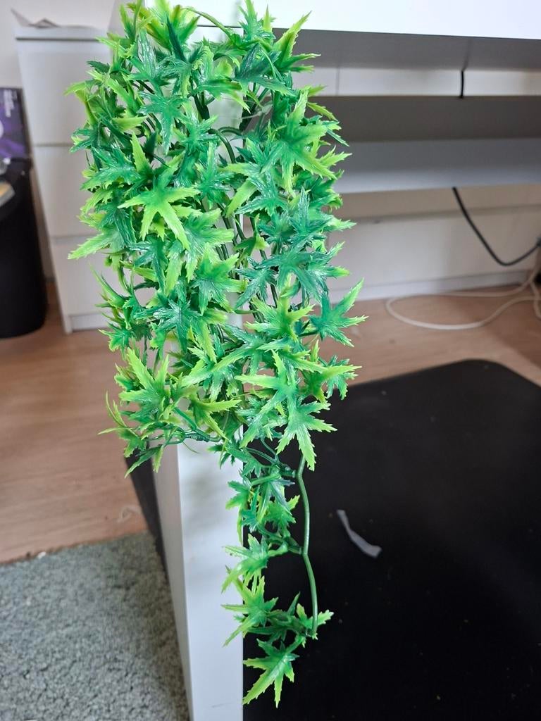 Decoratie terrarium, Dieren en Toebehoren, Reptielen en Amfibieën | Toebehoren, Ophalen, Zo goed als nieuw, Tak, Plant, Rots of Steen