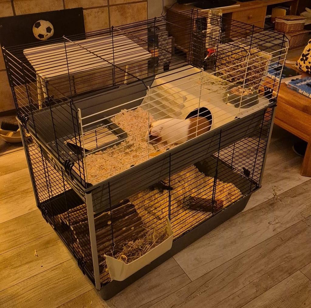Cavia / Konijnenkooi Dubbel (Ferplast) met Standaard, Dieren en Toebehoren, Knaagdieren en Konijnen | Hokken en Kooien, Kooi, Gebruikt