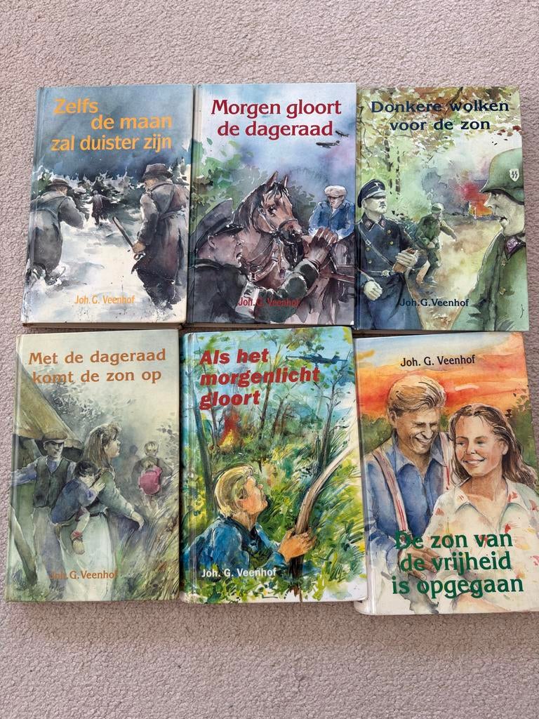 Serie van zes boeken van Joh. G. Veenhof, Boeken, Ophalen of Verzenden, Gelezen, Nederland