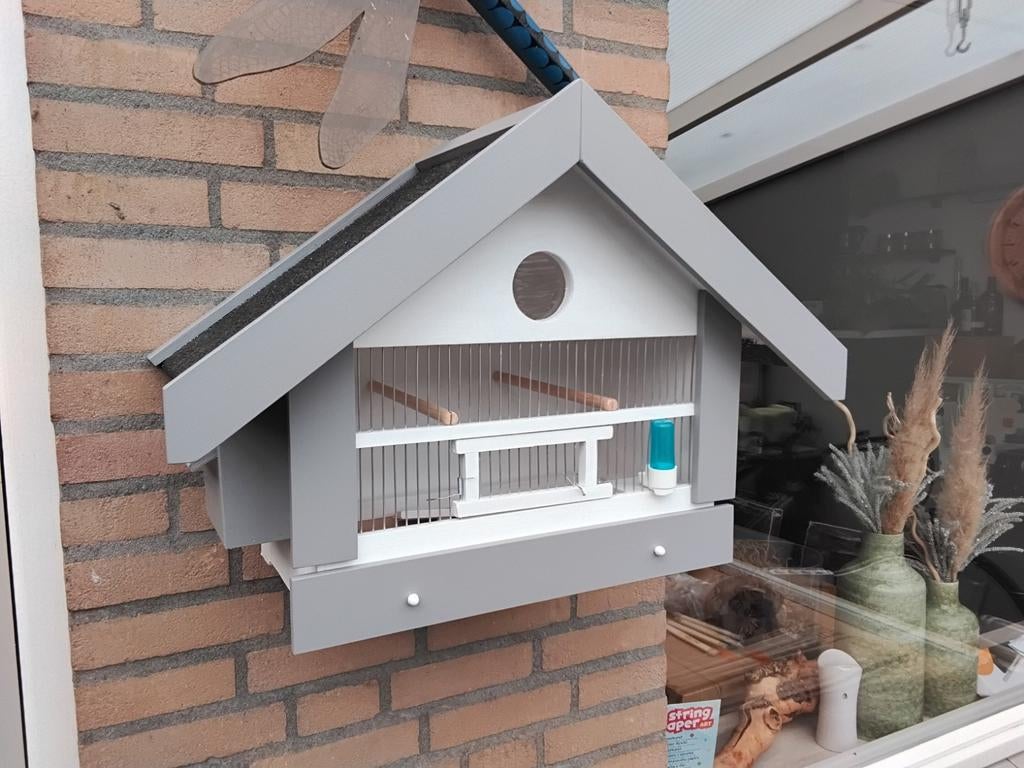 Gevraagt bastaarden kanaries Zang vogels