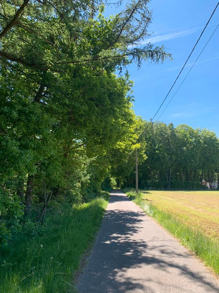 Te koop +/- 1 Ha bosgrond te Lanaken, Huizen en Kamers, Kavels en Percelen