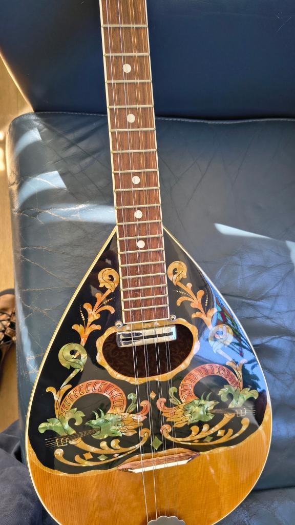 Eko vintage bouzouki, Ophalen, Zo goed als nieuw, Luit, Saz of Bouzouki
