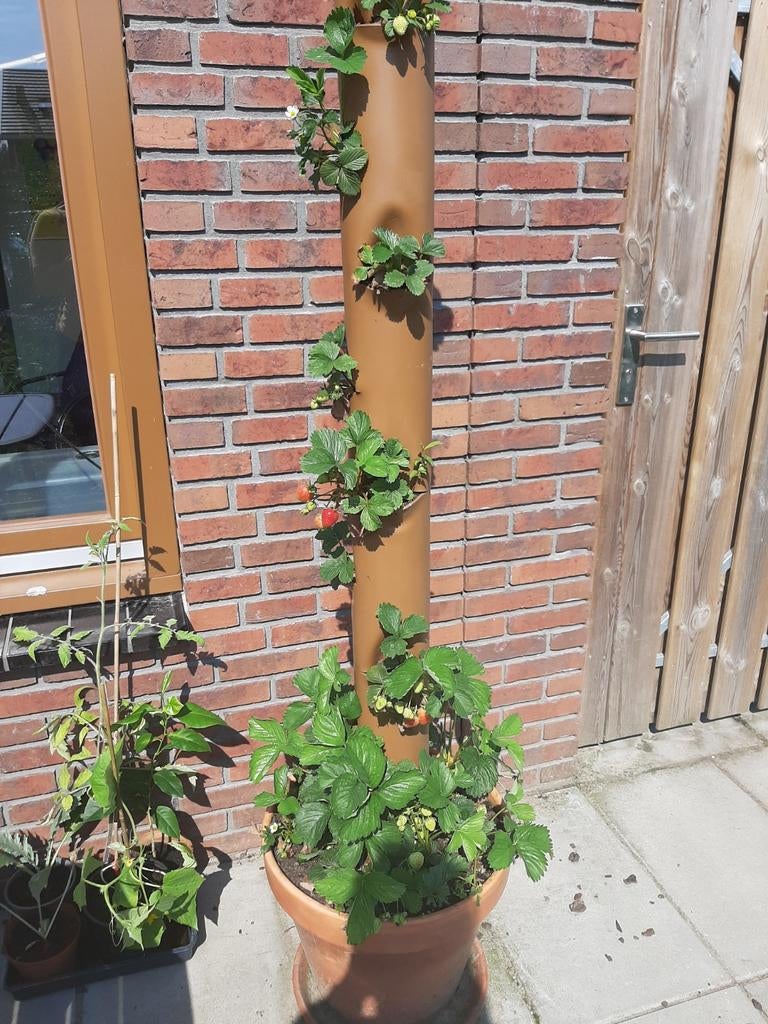Kruiden/Aardbeien/Sla Toren - Verticale Tuin, Tuin en Terras, Bloembakken en Plantenbakken, Ophalen, Kunststof, Gebruikt, Minder dan 60 cm