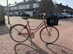 Veloretti Robyn Blazing Salmon Damesfiets met mand, Fietsen en Brommers, Fietsen | Dames | Damesfietsen, 53 tot 56 cm, Ophalen