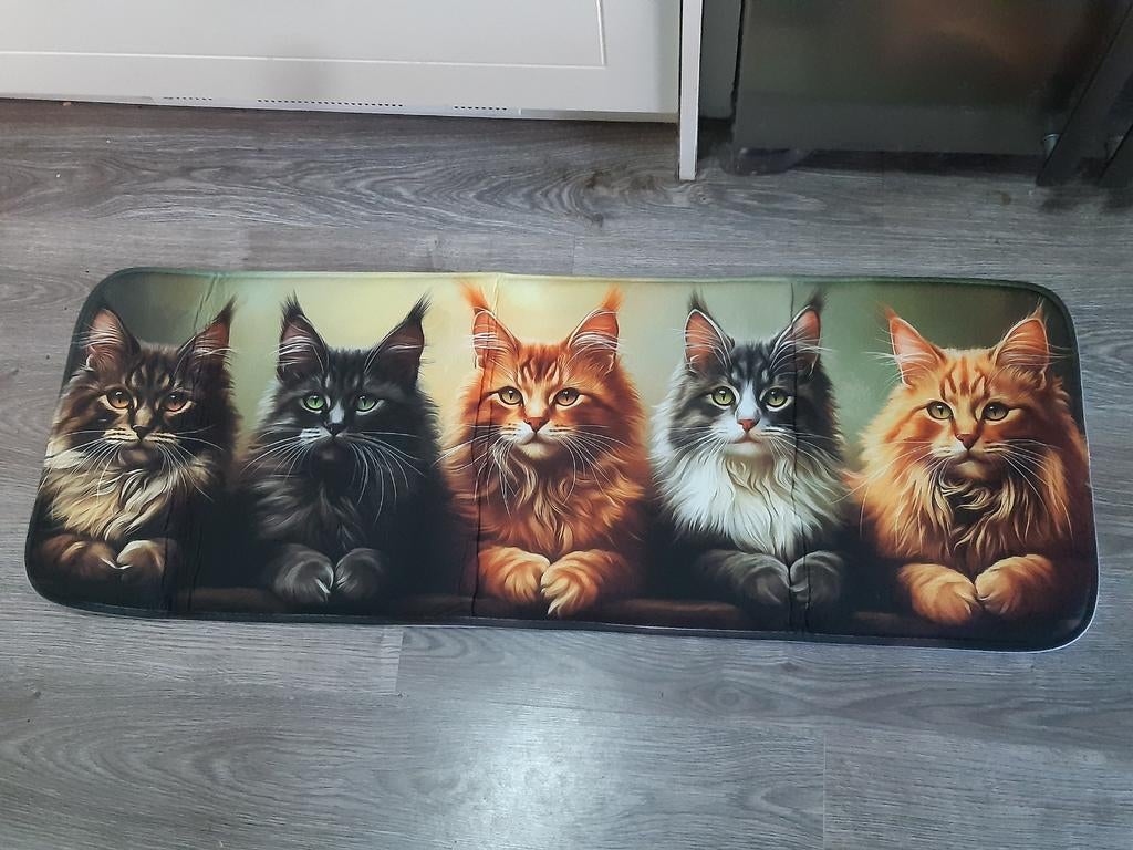 Kleed / (bad) mat Maine Coon nieuw, Ophalen of Verzenden, Nieuw, Rechthoekig