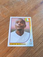 Panini WK 2002, Ophalen of Verzenden, Zo goed als nieuw, Buitenlandse clubs, Poster, Plaatje of Sticker