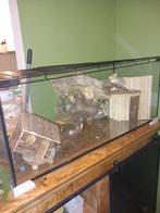 Hamsterkooi, Ophalen, Zo goed als nieuw, Hok, Minder dan 60 cm