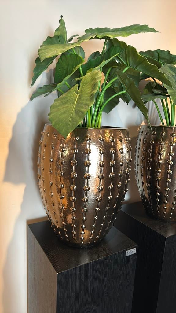 Pot en Vaas Pukk pot H55 incl plant, Tuin en Terras, Bloempotten, Ophalen, Rond, Zo goed als nieuw, Aardewerk