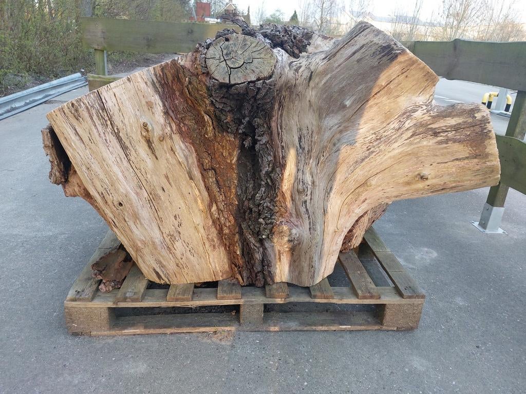 Grote wilgenstam op pallet, eenvoudig te laden, Ophalen, Gebruikt, 180 tot 250 cm, Overige typen