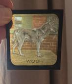 Antieke toverlantaarnplaatjes met dieren (set), Verzamelen, Dierenverzamelingen, Ophalen, Gebruikt, Wild dier, Overige typen