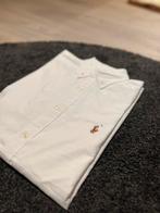 Ralph Lauren heren hemd, Ophalen of Verzenden, Nieuw, Maat 48/50 (M), Wit