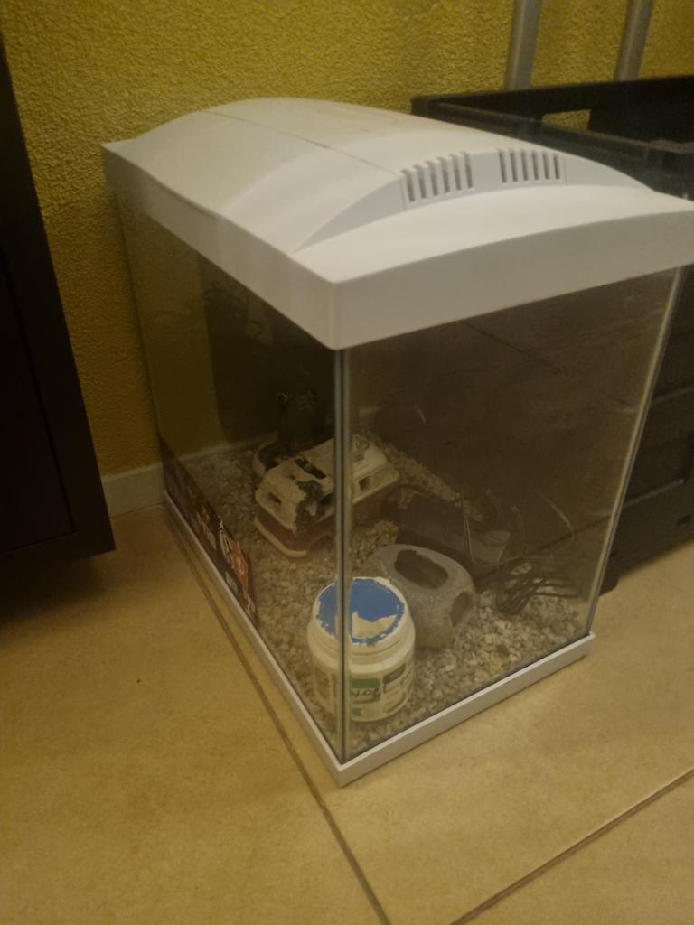 Gratis aquarium, Dieren en Toebehoren, Vissen | Aquaria en Toebehoren, Ophalen of Verzenden, Leeg aquarium