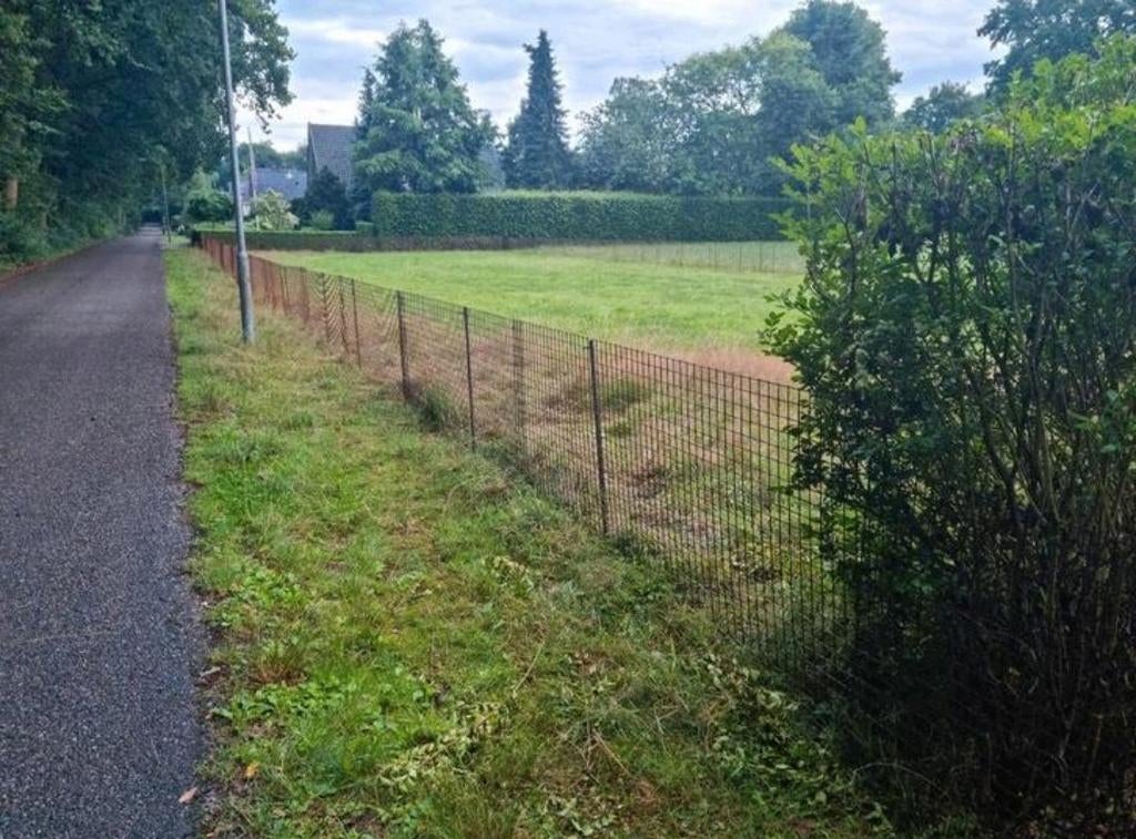 Nieuw! 120 meter betongaas! Maaswijdte 5x5cm hoogte 90/95cm, Ophalen, Nieuw, IJzer, Gaashekwerk