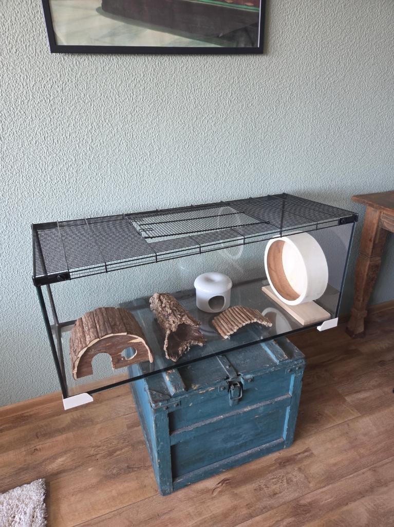 Glazen hamsterkooi inclusief toebehoren, Kooi, Zo goed als nieuw, Muis, 75 tot 110 cm