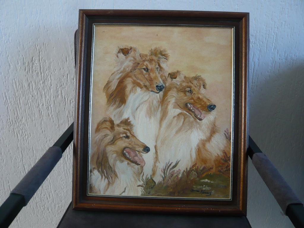 schilderij met 3 Schotse Collies, Ophalen of Verzenden