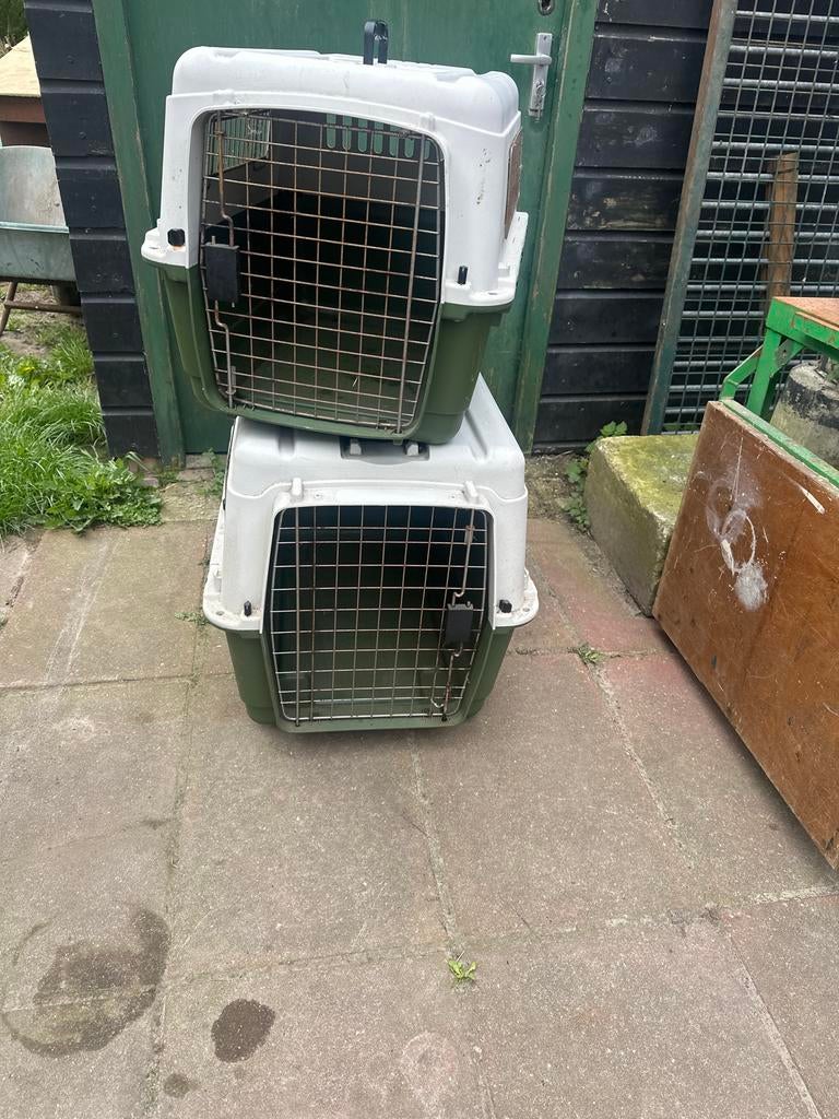 Hondenbench transport kooi, Ophalen, Gebruikt