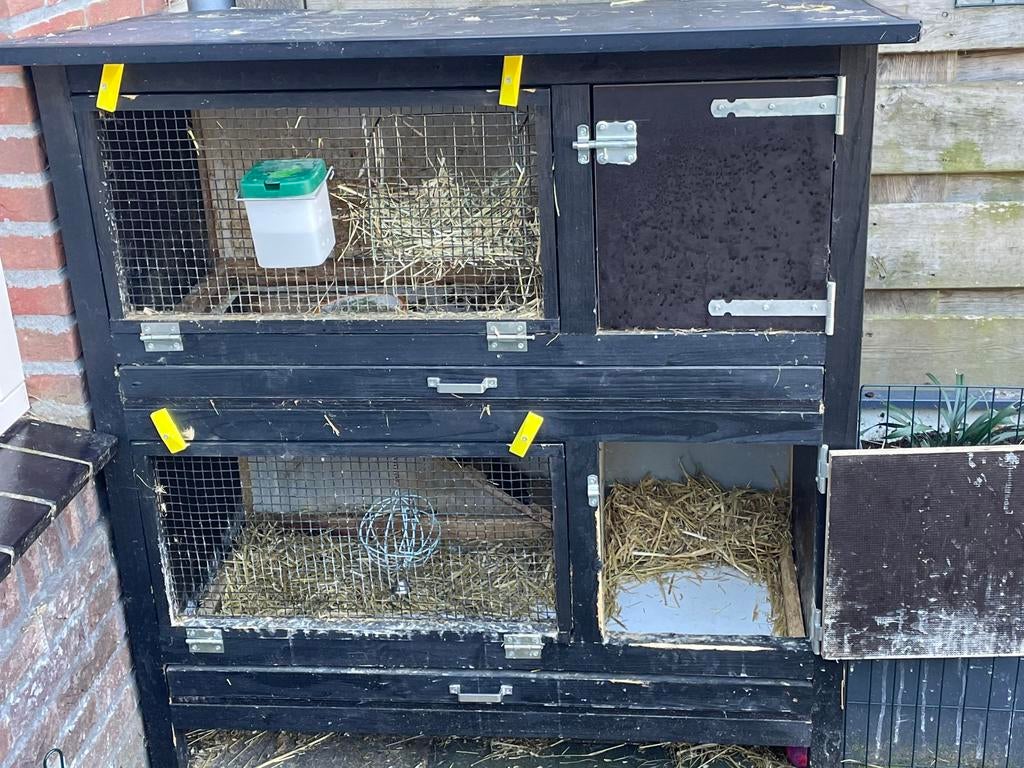 Gratis konijnenhok en toebehoren!, Ophalen, 110 cm of meer, Zo goed als nieuw, 90 cm of meer