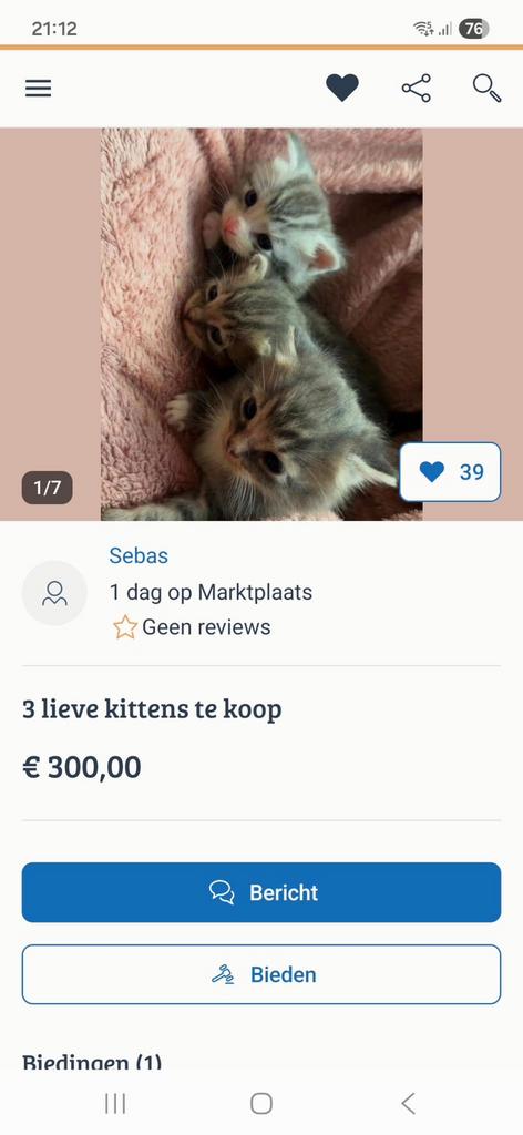 LET OP OPLICHTER!! **SEM SLUITER**IS EEN OPLICHTER!!, Dieren en Toebehoren, Katten en Kittens | Raskatten | Korthaar, Kater