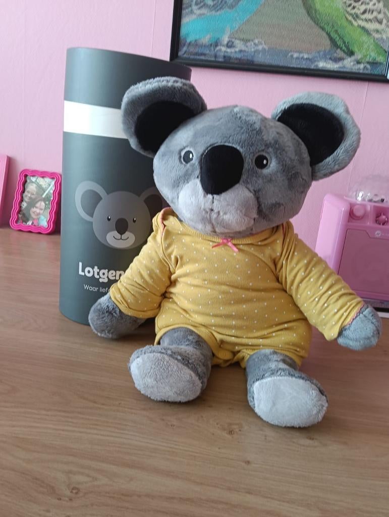 Lotgenoot koala, Ophalen of Verzenden, Zo goed als nieuw, Overige typen