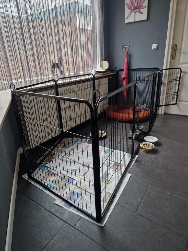 Puppyren bench te huur, Ophalen of Verzenden, Zo goed als nieuw, 110 cm of meer, 65 tot 100 cm