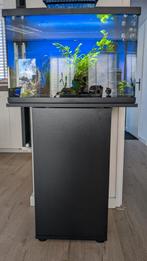 Aquarium superfish, Ophalen, Zo goed als nieuw, Gevuld zoetwateraquarium
