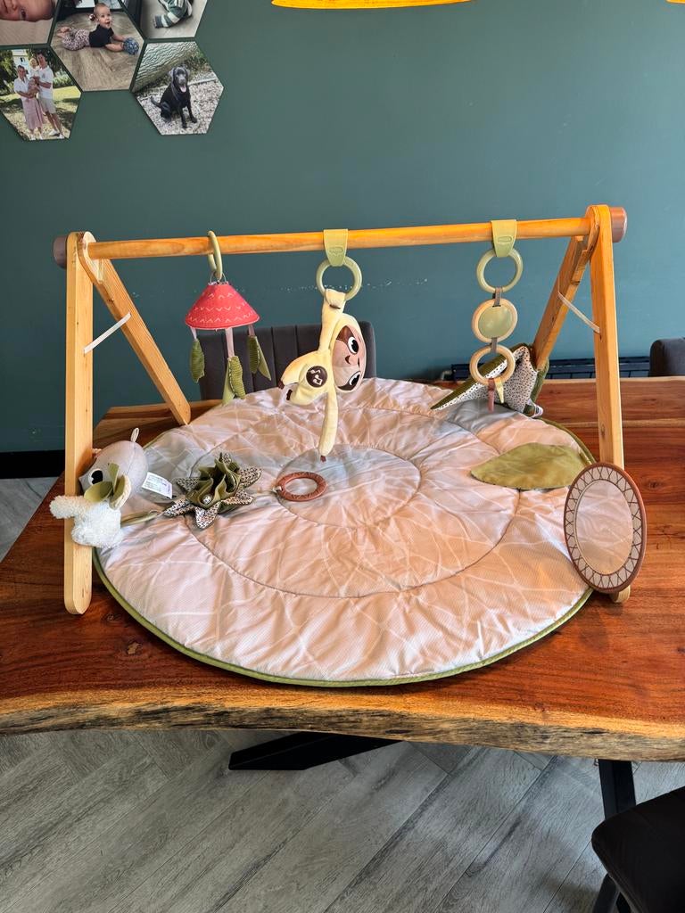Tiny Love babygym met speelkleed, Kinderen en Baby's, Speelgoed | Babyspeelgoed, Ophalen of Verzenden, Gebruikt, Babygym