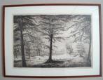 Willem Hopman (1939)  - Heilooërbos - Heiloo - ets, Antiek en Kunst, Ophalen of Verzenden