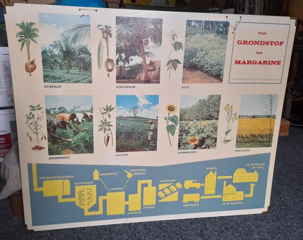 SCHOOLPLAAT VAN GRONDSTOF TOT MARGARINE, Ophalen of Verzenden, Overige thema's