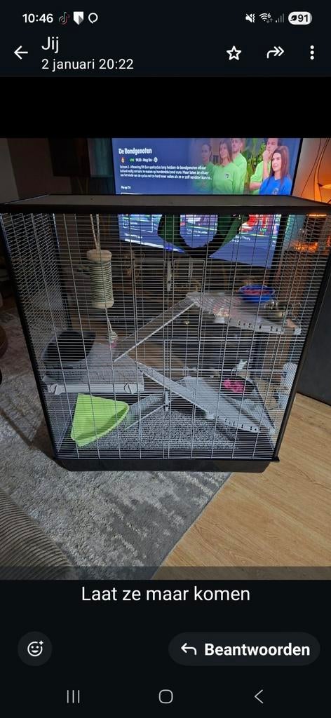 Ratten kooi, Ophalen, Kooi, Zo goed als nieuw, 90 cm of meer