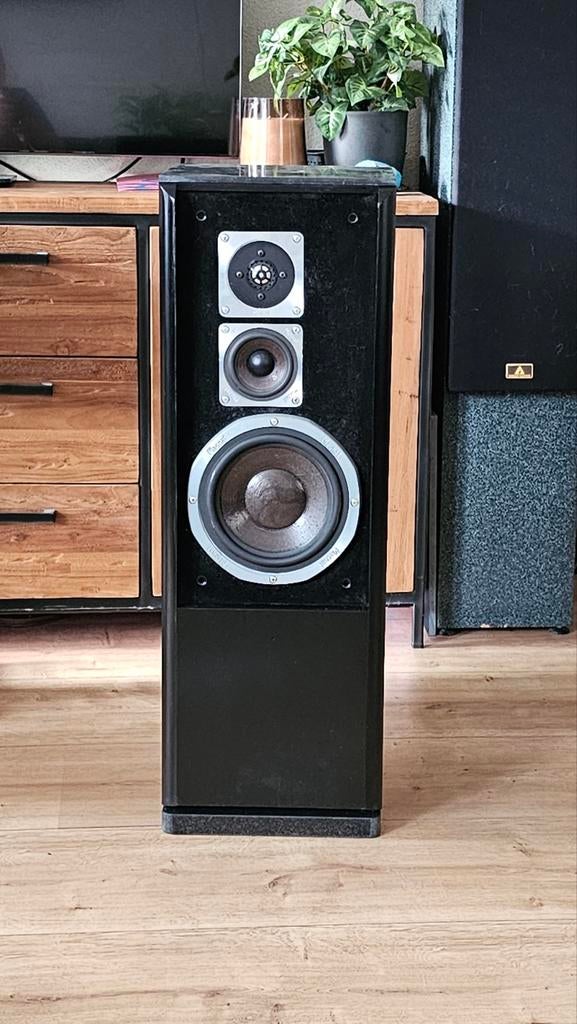 Magnat zero 6  filters zijn gerecapt met mundorf, Overige merken, Gebruikt, Ophalen of Verzenden, 60 tot 120 watt