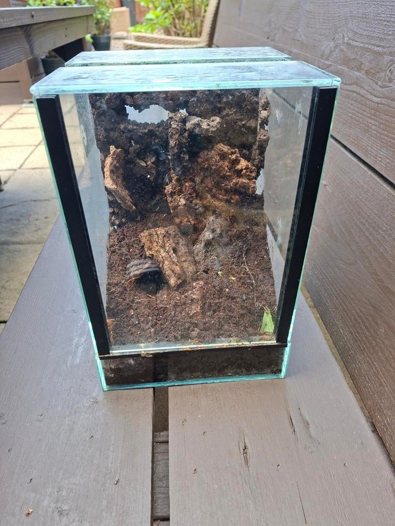 Klein terrarium 30x20x20, Dieren en Toebehoren, Reptielen en Amfibieën | Toebehoren, Ophalen