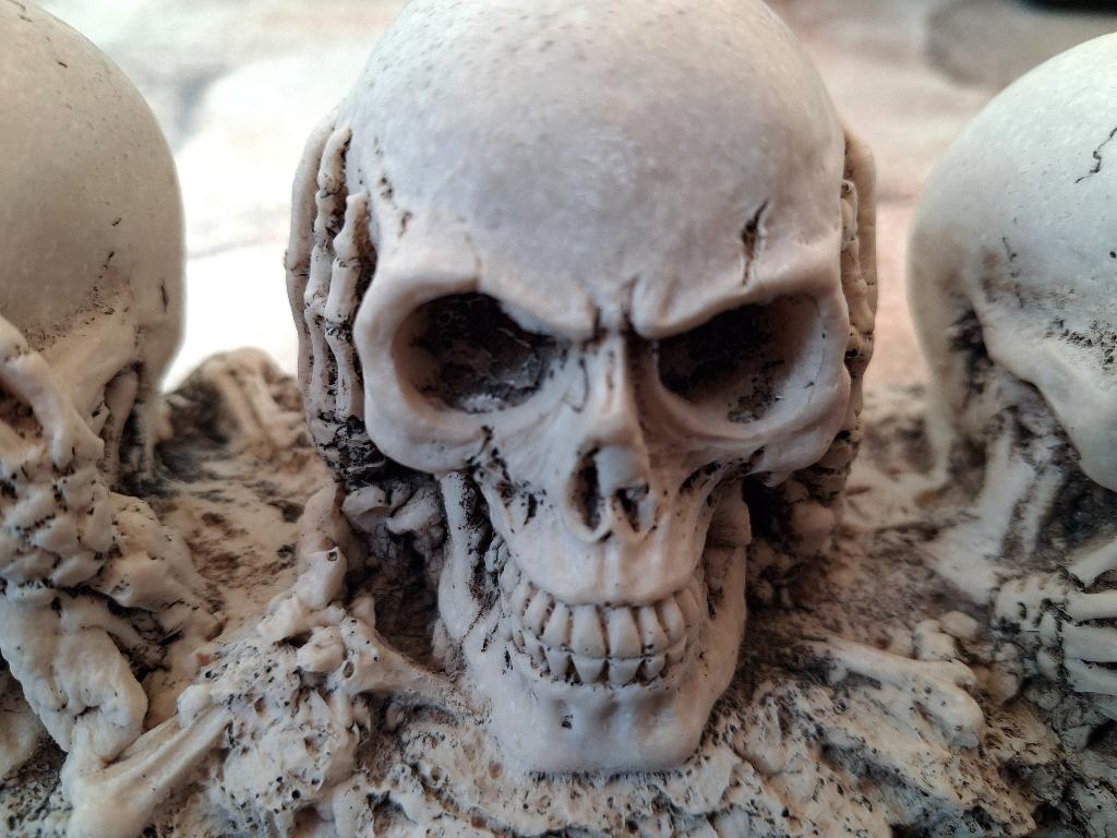 Schedel horen zien zwijgen mens, Verzenden, Zo goed als nieuw, Mens